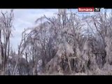 FENOMEN meteo STRANIU în România. Mai multe PĂDURI au fost cuprinse de un strat gros de GHEAŢĂ