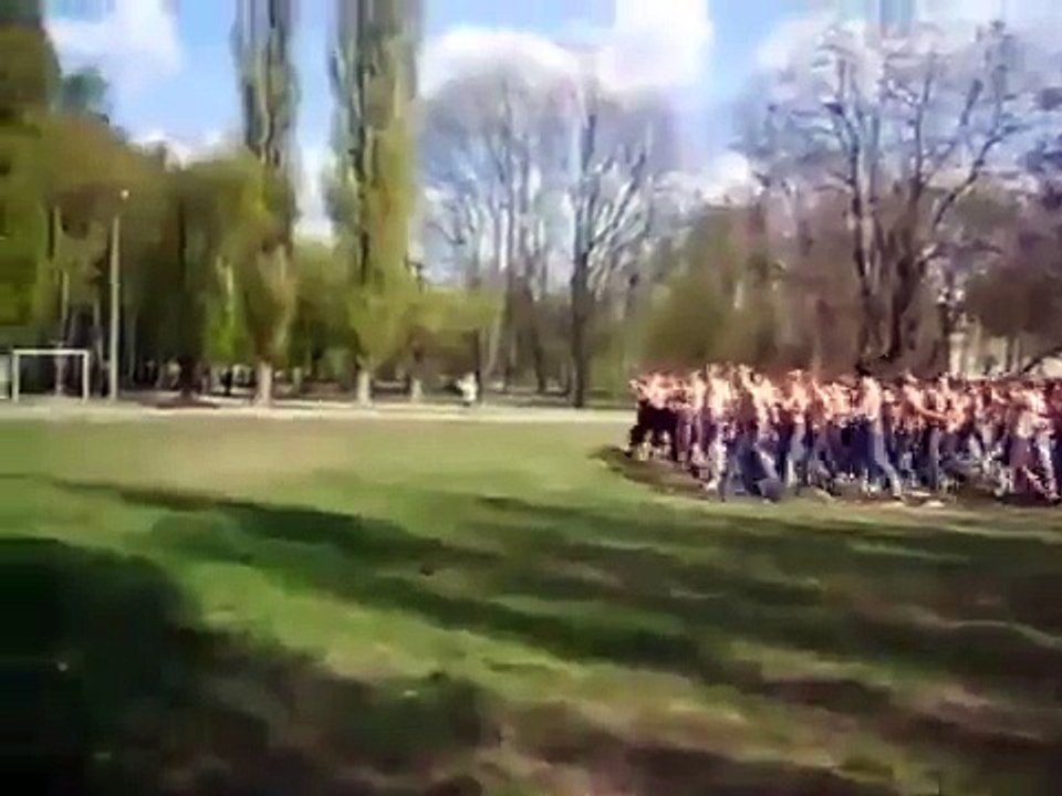 Insane 250 people