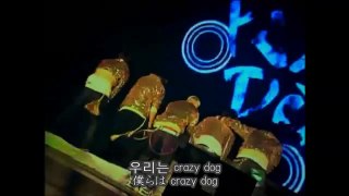 Crazy Dog + 환상 속의 그대(幻想の中の君) -  BIGBANG [日本語字幕]