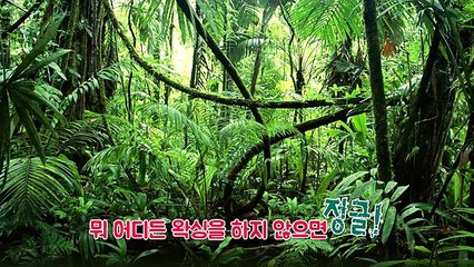 거기도 없어요? 브라질리언왁싱! Brazilian Waxing - 허윤미허니TV