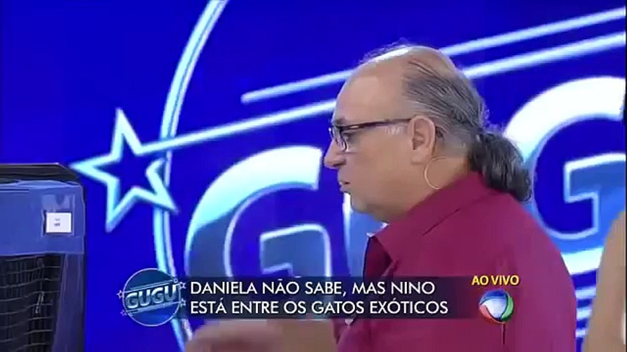 Gato perdido ataca dona no Programa do Gugu