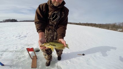 VIC-MOONING  "Fishing the Core-area"