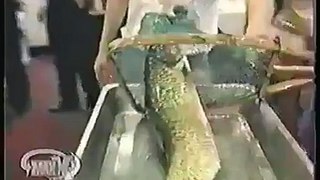 --warning this video contains disturbing scenes--Chinese live fish entree.....