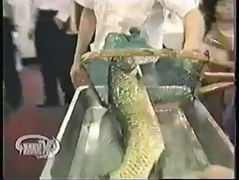 --warning this video contains disturbing scenes--Chinese live fish entree.....