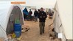 Syrian IDPs struggle in al-Salama refugee camp