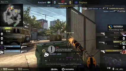 CS GO ACE LEKRO