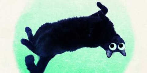 Sugar & Tiger, une affaire de famille pour Didier Wampas - La bande passante