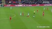 yaya touré fight Lallana Liverpool vs Manchester City  28.02.2016
