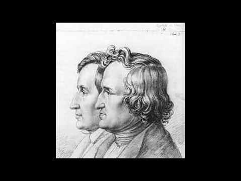 Król Drozdobrody - Jacob i Wilhelm Grimm ( audiobook pl )