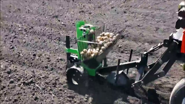 Мини трактор МТМ-10 производит посадку картофеля передней навеской картофелесажалкой