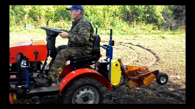 Мини трактор МТМ-10 собирает урожай картофеля с задней навеской картофелекапалкой