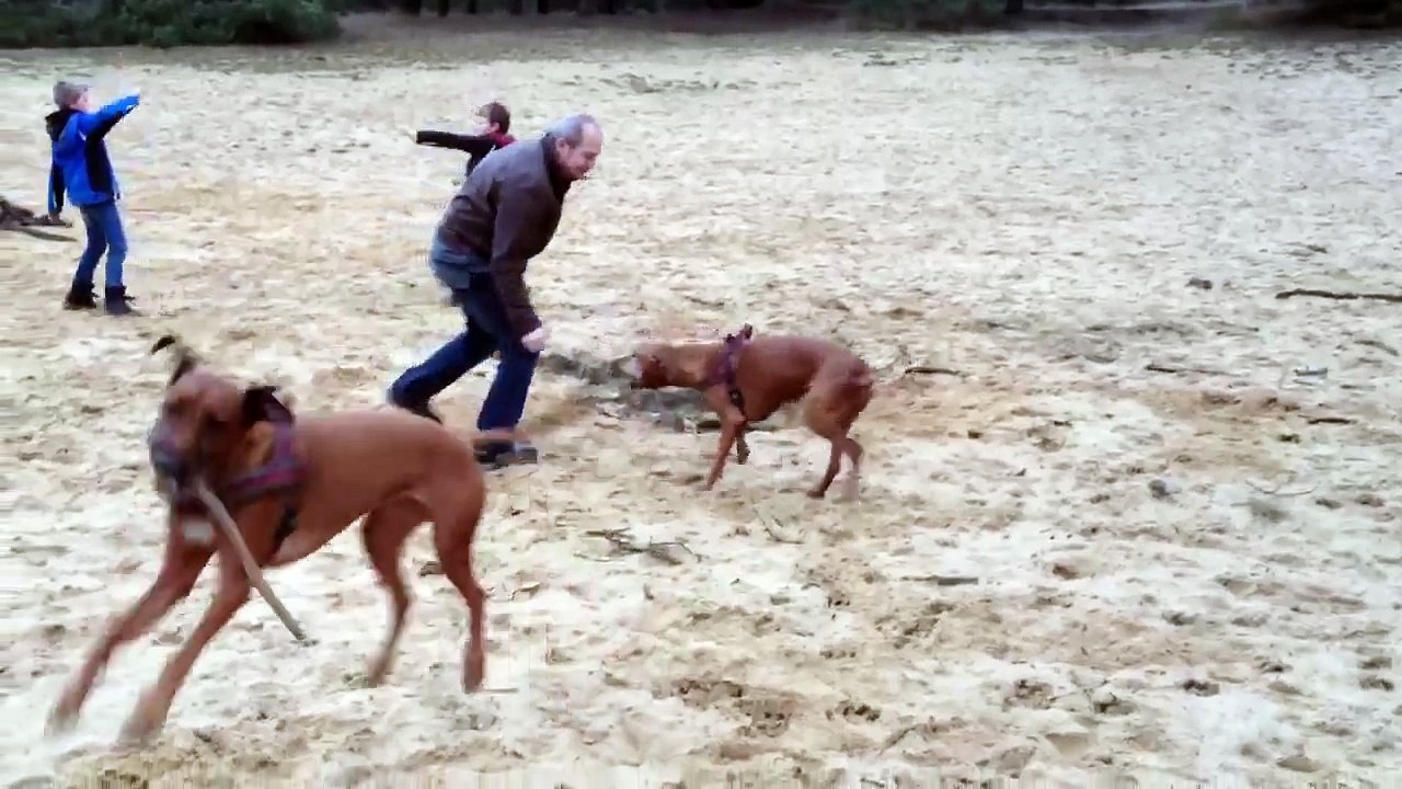 Spelen in het zand