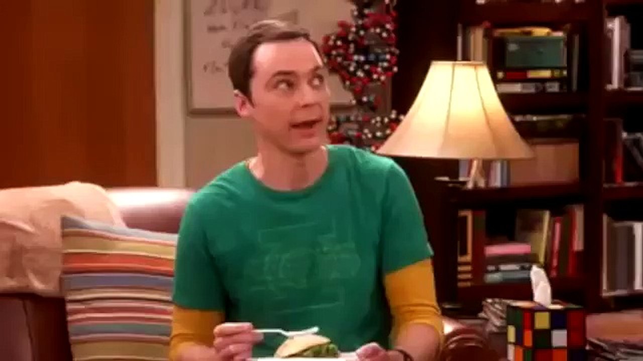 THE BIG BANG THEORY 9x08 THE MYSTERY DATE OBSERVATION