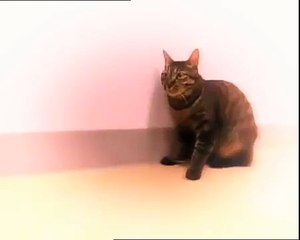 Cartoon Network Too UK Tom & Jerry Weekend Marathon 2010