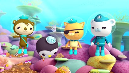 Мультфильмы для детей. Октонавты. Сезон 1 серия 44. Октонавты и спасение рифа дельфинами.