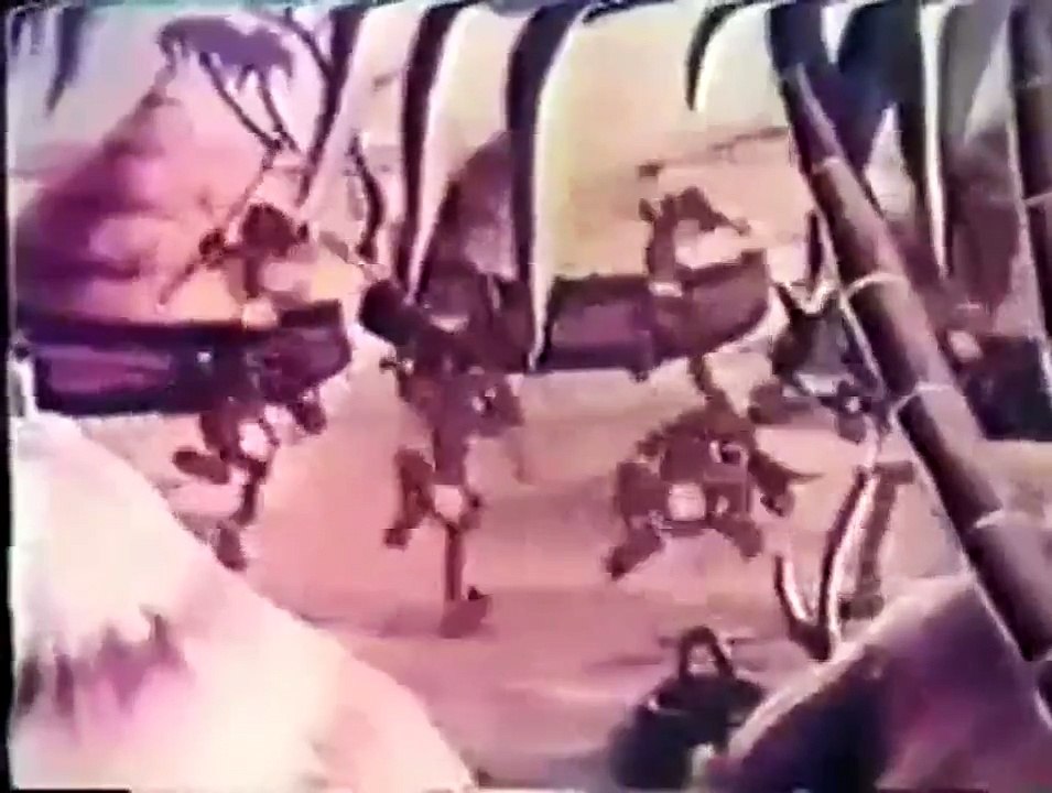 Jungle Jitters 1938 Warner Bros cartoons