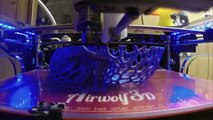 3D Printer Time Lapse Voronoi Skull 3D Printed Skull