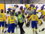 Драка сборной Украины и Монголии 2016/new hockey fight 2016