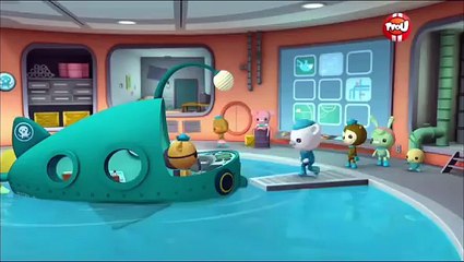 Les octonauts et le chef morse (saison 1, épisode 4)
