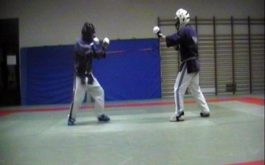 WEB LECON 10: fauchages et balayage contre yoko geri chudan