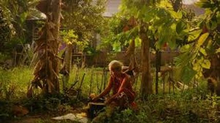 The Look of Silence Full''MovieHd