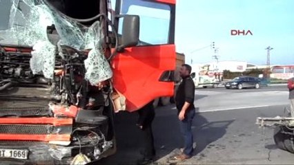 Sakarya Tır ile Kamyonet Çarpıştı, 2 Büyükbaş Hayvan Telef Oldu