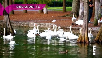 Mandy Rose keeps Natalya waiting: Total Divas Preview Clip: February 16, 2016