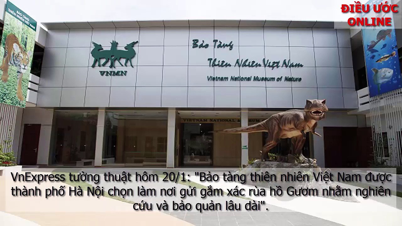 Cụ Rùa Linh vật hay con vật Đại Hội Đảng