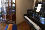 PANTERA COR DE ROSA/ ROSE PINK PANTHER theme song music/ piano instrumental tutorial
