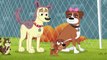 Pound Puppies 2010 Season 01 Episode 17 Bone Voyage (HD 720p)