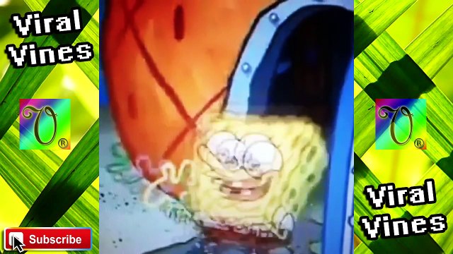 Best SpongeBob Squarepants Vines | Compilation 2015
