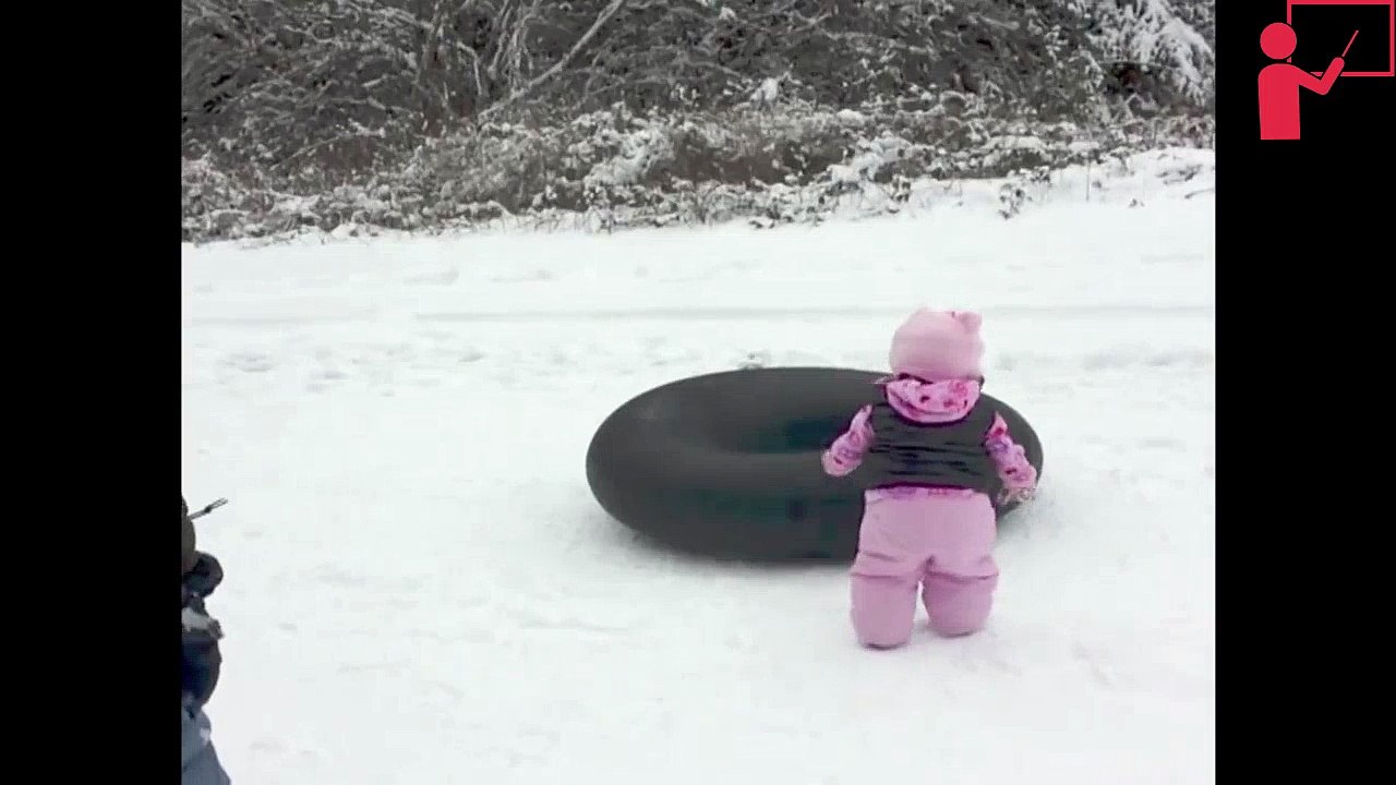 dog sledding Funny Video