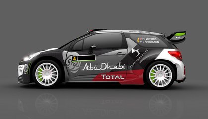 WRC геймплей