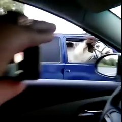 HOW MUCH HORSEPOWER HAS YOUR CAR GOT...LOL!