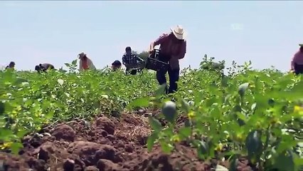 A Dona Capítulo 55 RODRIGO SE DECLARA PARA VALENTINA SEM CORTES