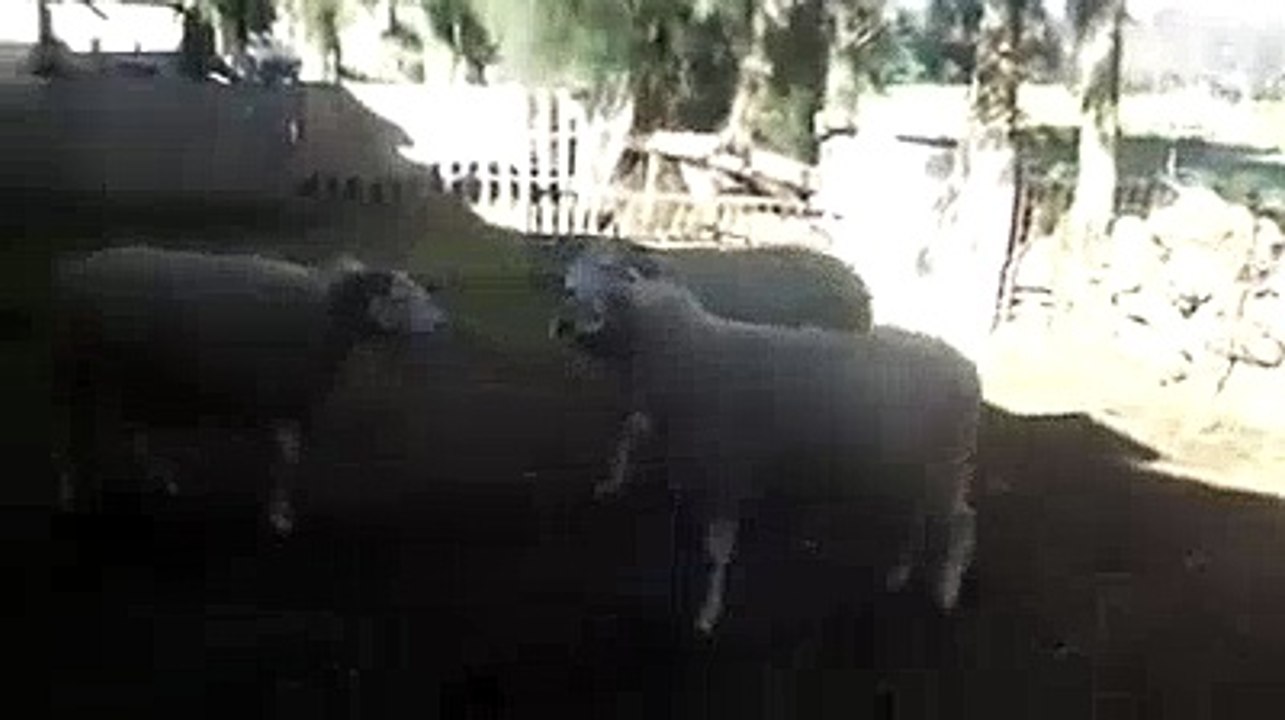 They're Angry, but why ??