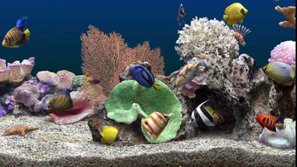 ♫CÁ VÀNG BƠI  ♫NHẠC THÊU NHI VUI NHỘN 2016