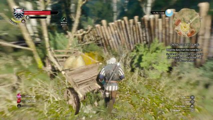 THE WITCHER 3 WALKTHROUGH PART 21 - DEVIL BY THE WELL & TAMERIAN VALUABLES
