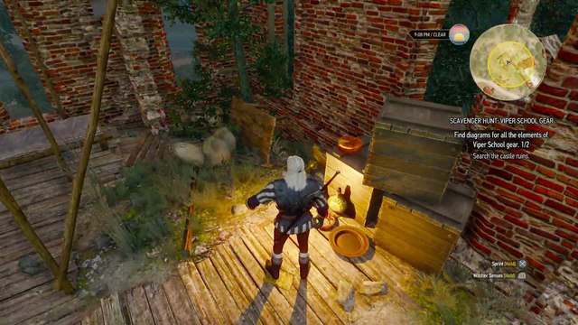 THE WITCHER 3 WALKTHROUGH PART 22 - VIPER SCHOOL GEAR & DEVIL BY THE WELL CONTRACT