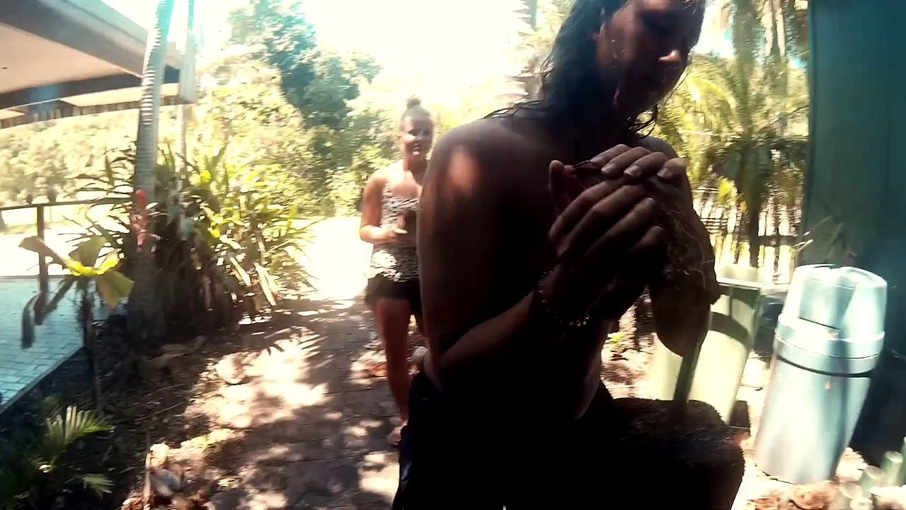 So knackt man eine Kokosnuss