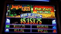 Las Vegas vs Native American Casinos Episode 46: Jungle Cats Slot Machine