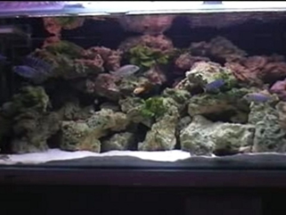 Bac malawi  1ère partie