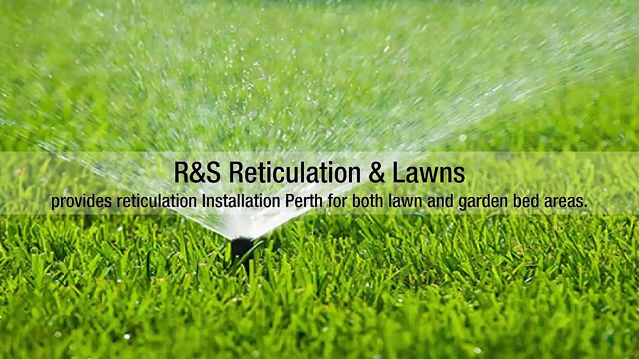 Lawn Installation Perth Locals Must Know About