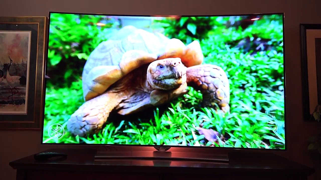 World's Best TV LG 65 Curved OLED 4K Ultra HDTV Unboxing _ Review