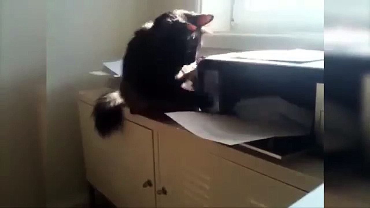 Best Fails of February 2016 Funny Fail Compilation #007