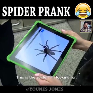 HAHAH wie würdet ihr reagieren