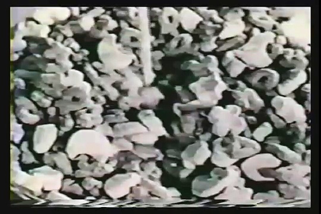 1960s General Mills and Kelloggs Rice Krispies Commercials
