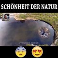 Wie viel Likes hat die Mutter Natur verdient