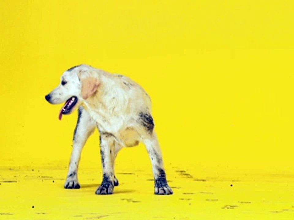 Nuevo Pedigree® Cachorro