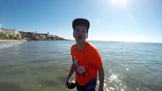 Stung by a Stingray LIVE on film!! - YouTube